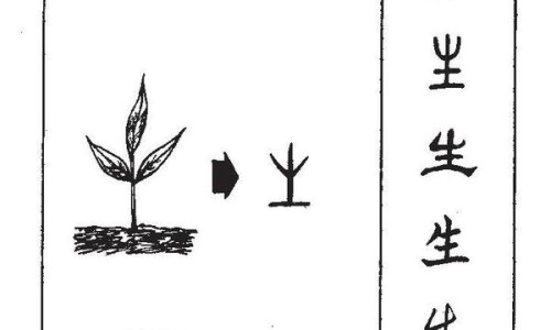 红糖蜂蜜姜水的功效与作用及禁忌-【喝红糖蜂蜜姜水的好处】喝红糖蜂蜜姜水的好处 - 红糖蜂蜜姜水的功效与作用网